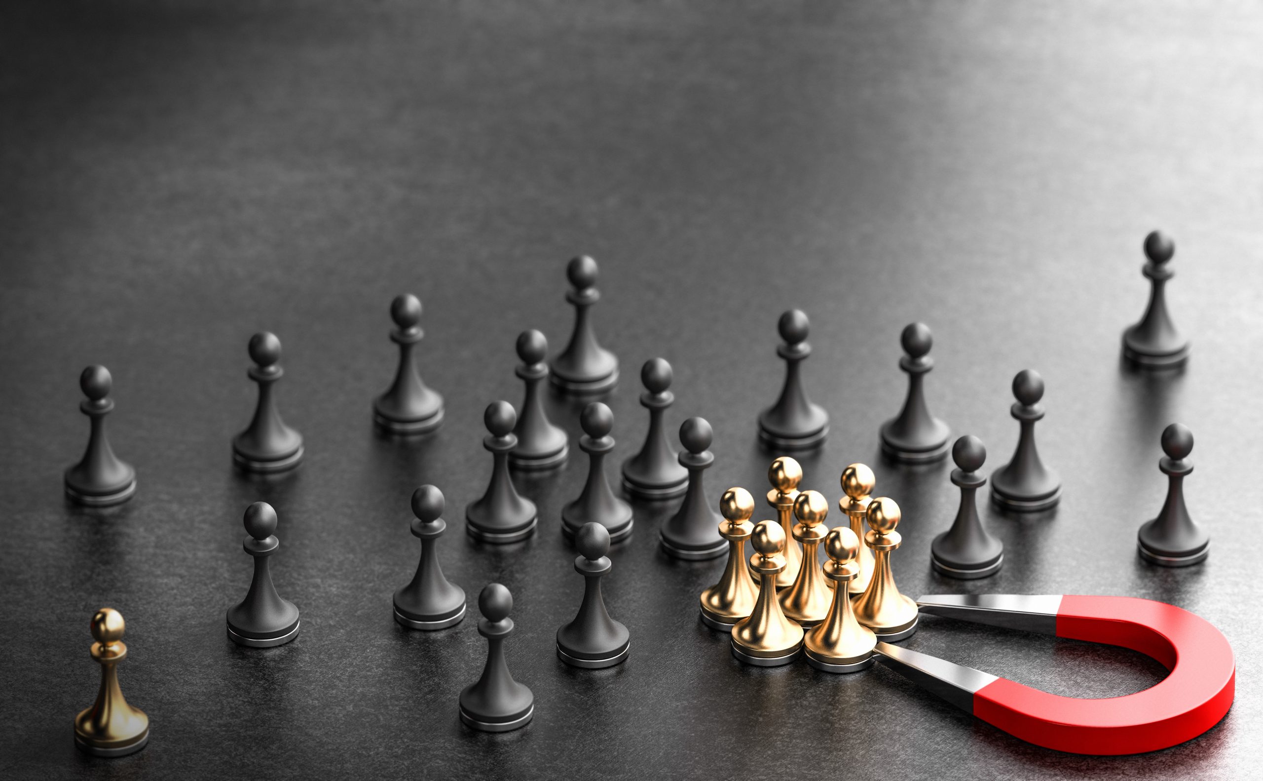 What is Marketing Leads